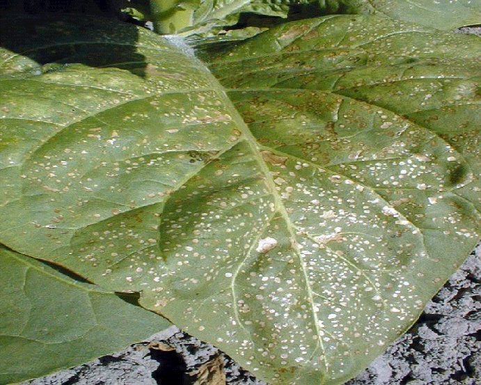 image17.jpg